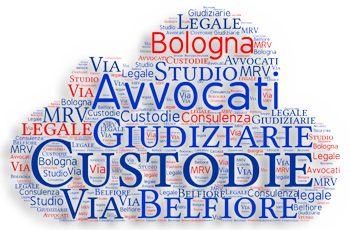 Custodie Giudiziare Custodie Giudiziarie